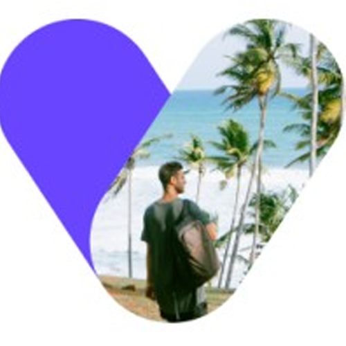 vTravel logo